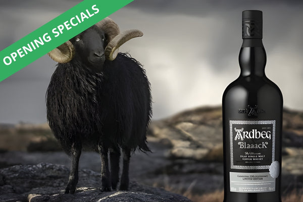 Grand Opening Specials