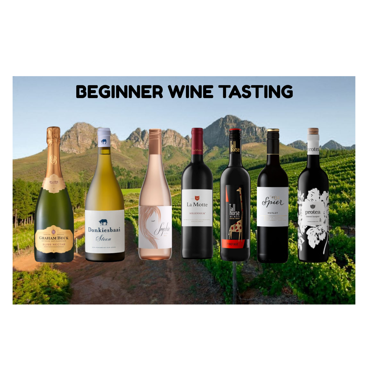 Beginners Wine Tasting Experience