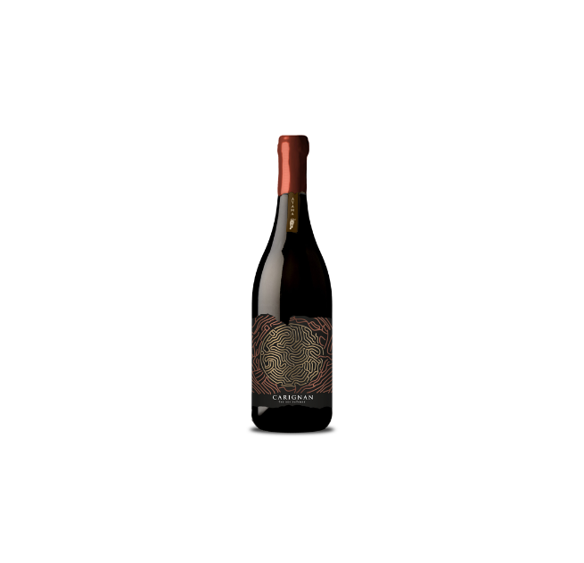 Ayama Carignan 2020 The Red Pathway